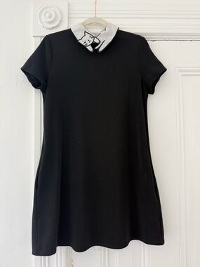 Sweet Claire Black Mini Dress with Kitty Collar
